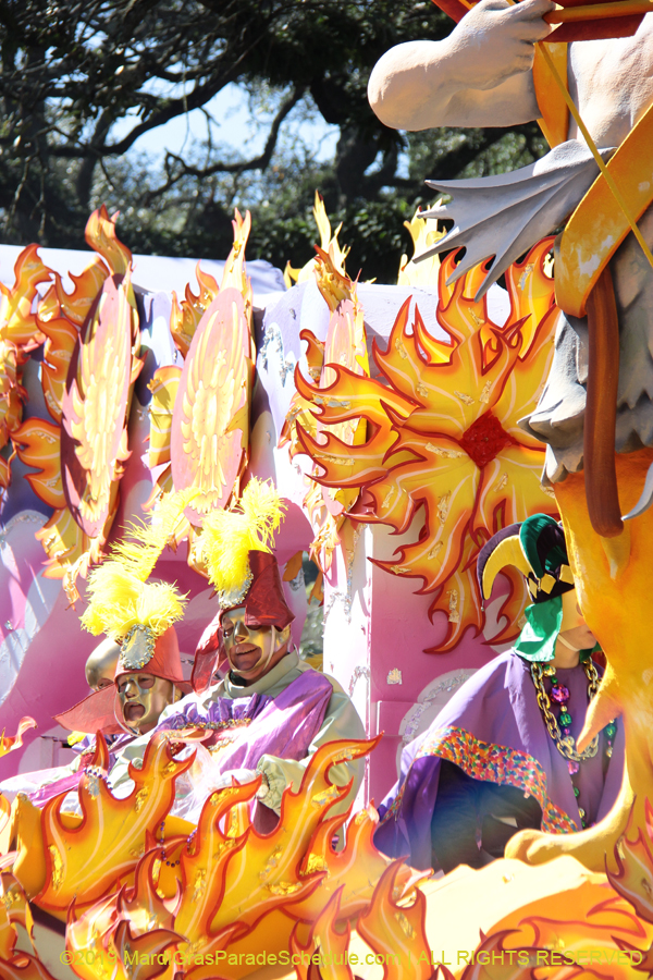 Rex-Organization-2019-010958