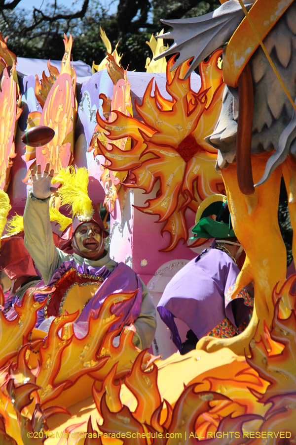 Rex-Organization-2019-010959