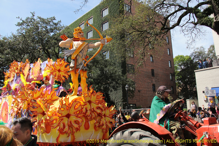 Rex-Organization-2019-010960