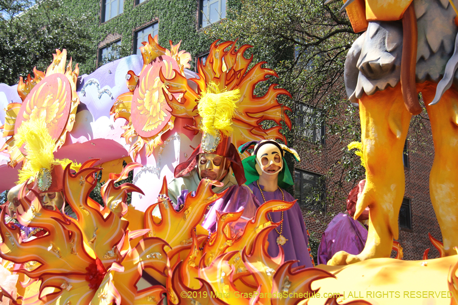 Rex-Organization-2019-010961