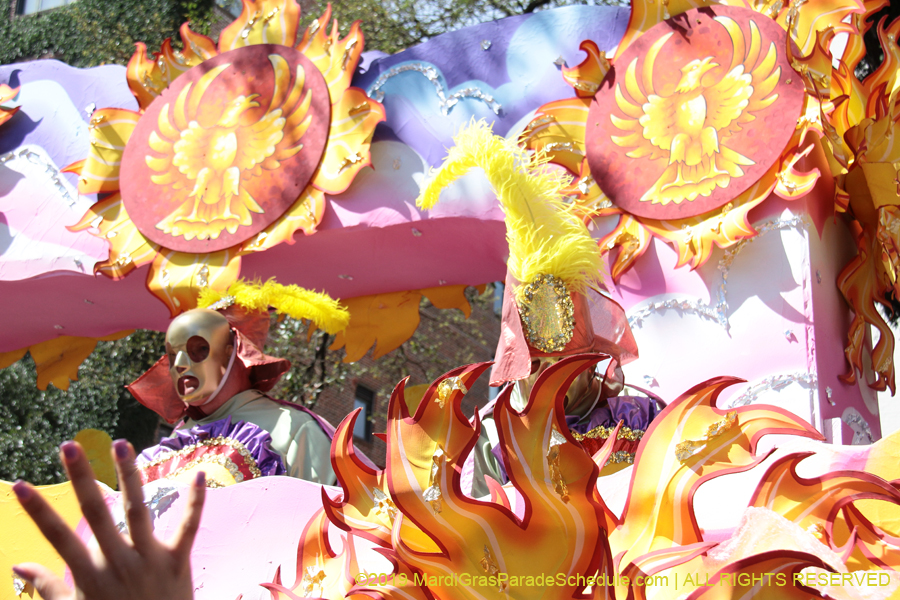 Rex-Organization-2019-010962