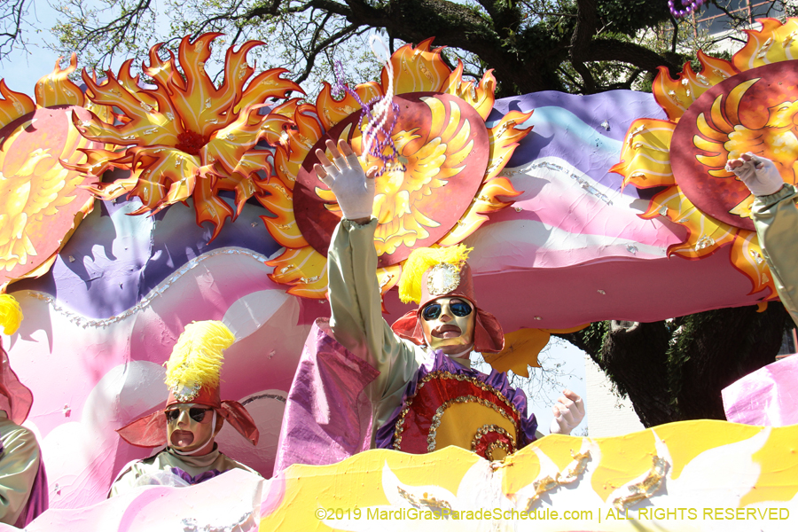 Rex-Organization-2019-010963