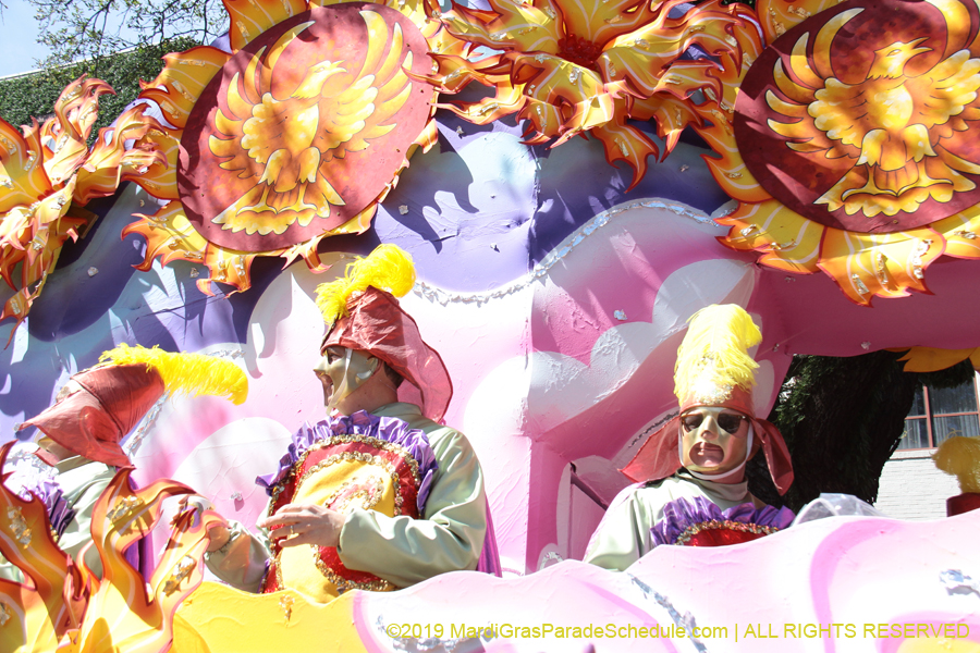 Rex-Organization-2019-010964