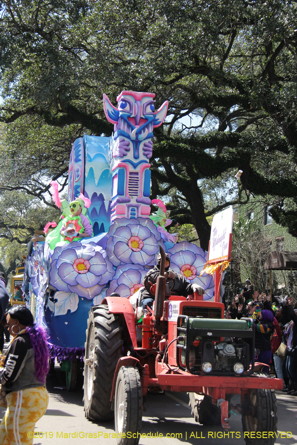 Rex-Organization-2019-010970