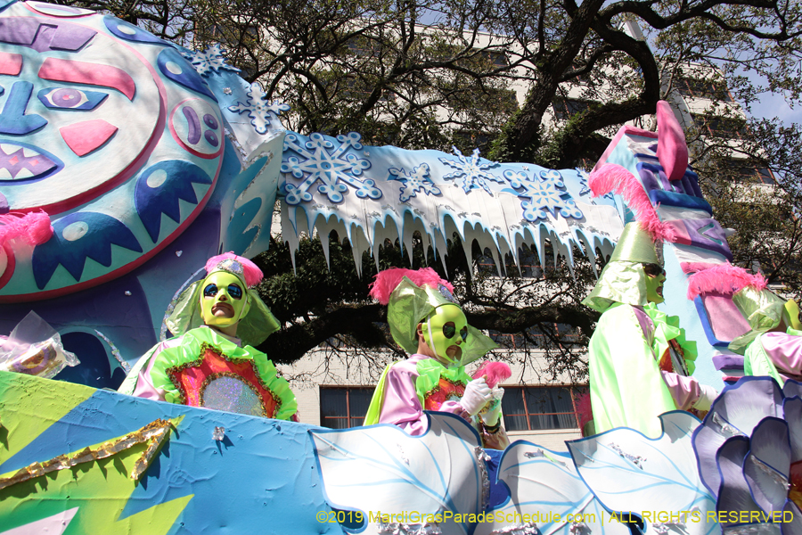 Rex-Organization-2019-010973