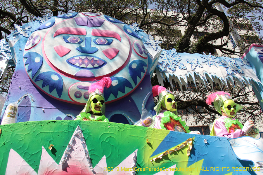 Rex-Organization-2019-010974