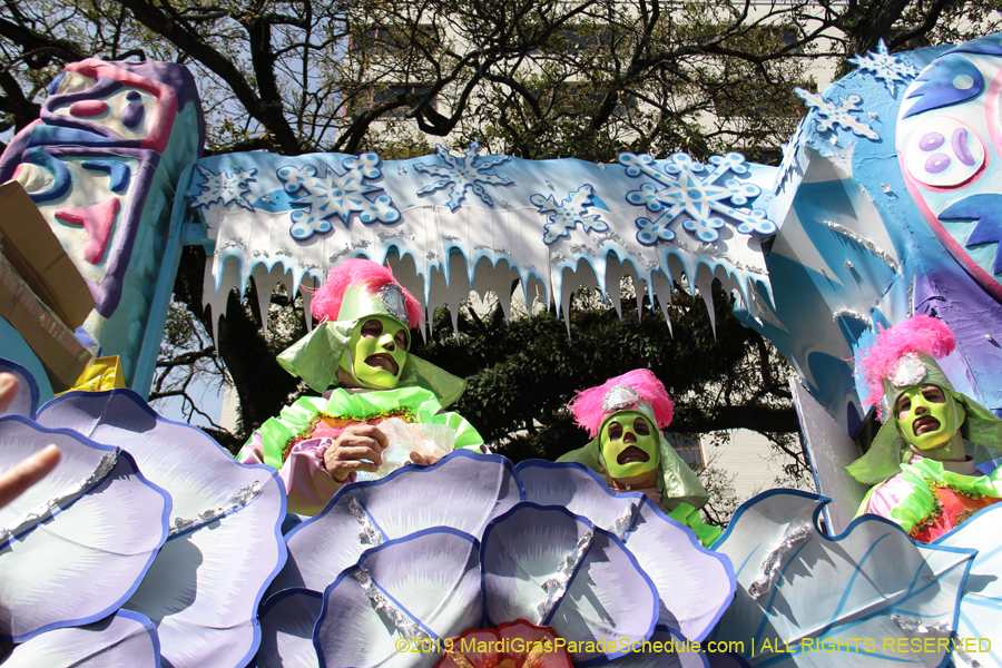 Rex-Organization-2019-010976