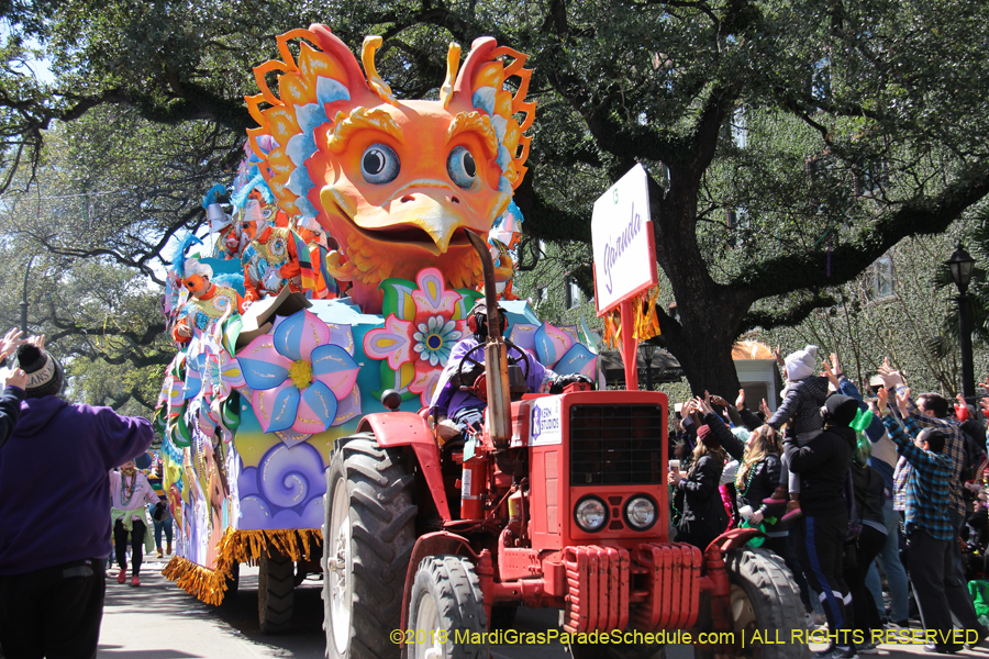 Rex-Organization-2019-011010