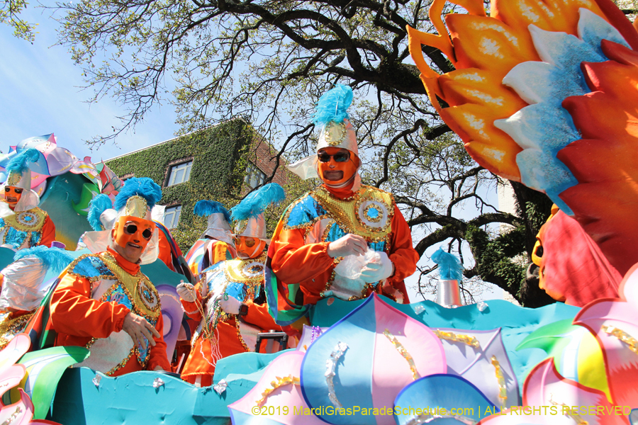 Rex-Organization-2019-011011