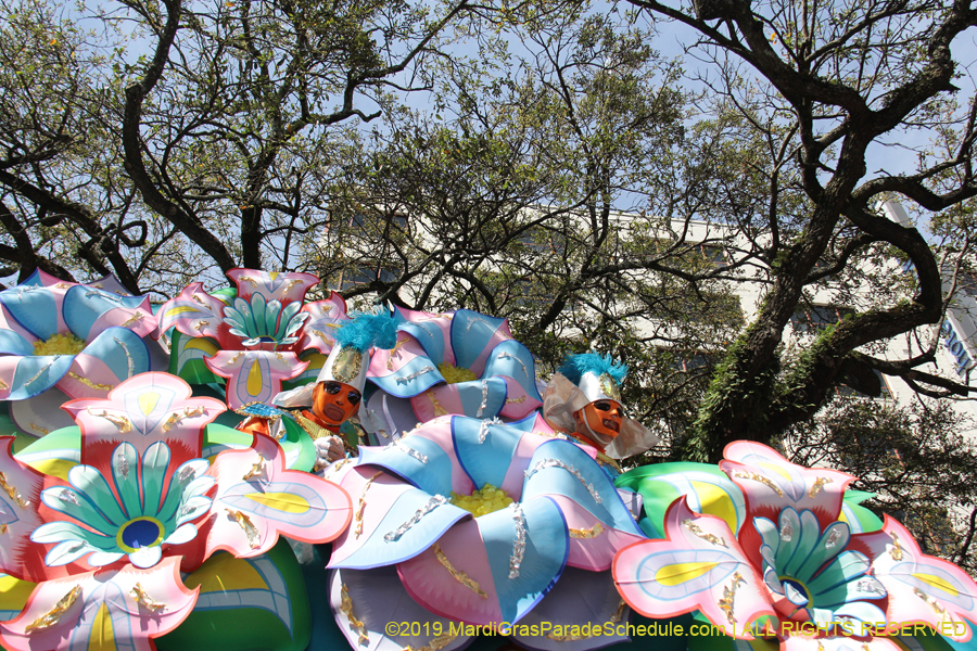 Rex-Organization-2019-011013