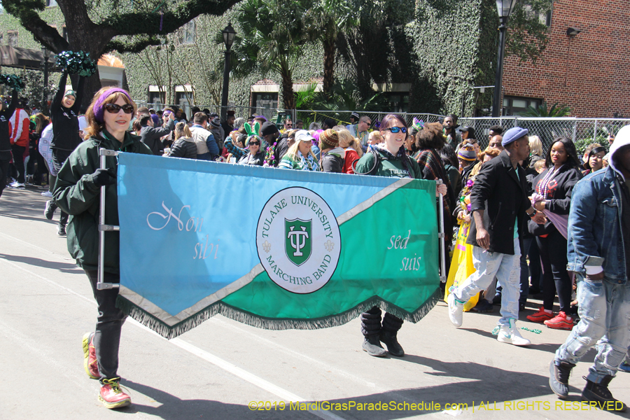 Rex-Organization-2019-011014