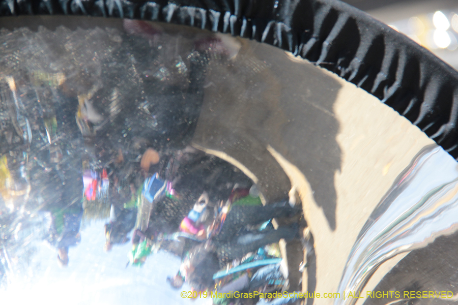 Rex-Organization-2019-011025