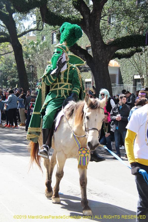 Rex-Organization-2019-011031