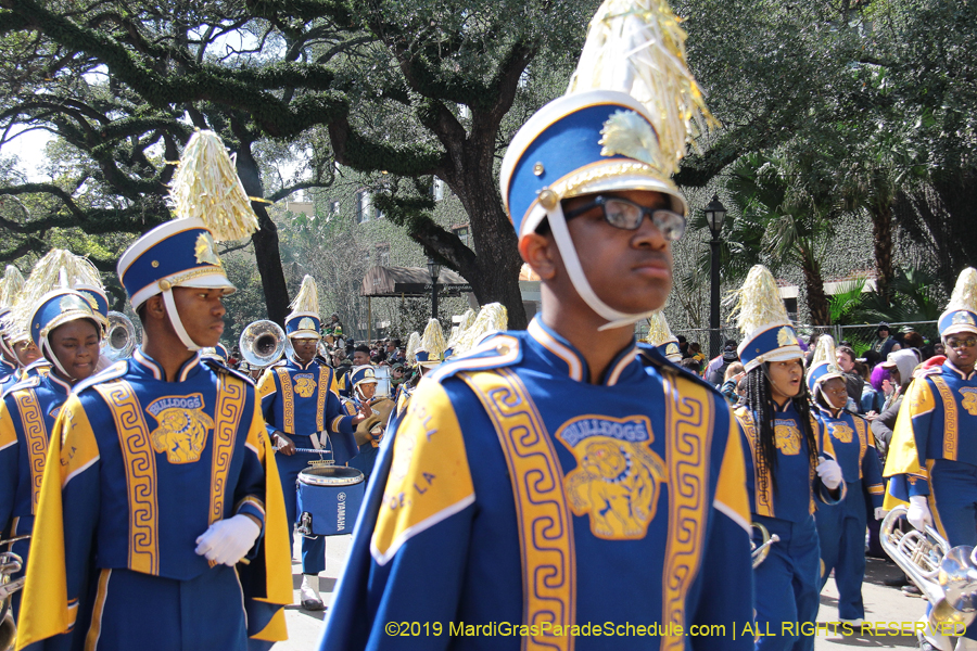 Rex-Organization-2019-011041