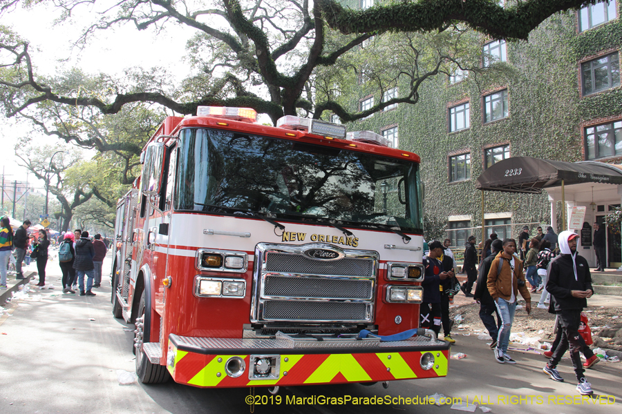 Rex-Organization-2019-011200