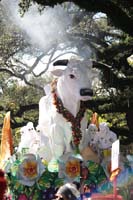 Rex-Organization-2019-010895