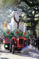 Rex-Organization-2019-010896