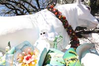 Rex-Organization-2019-010898