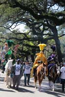 Rex-Organization-2019-010909