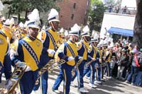 Rex-Organization-2019-010993