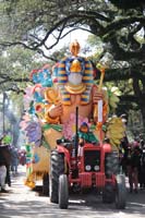 Rex-Organization-2019-010996