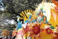 Rex-Organization-2019-011049