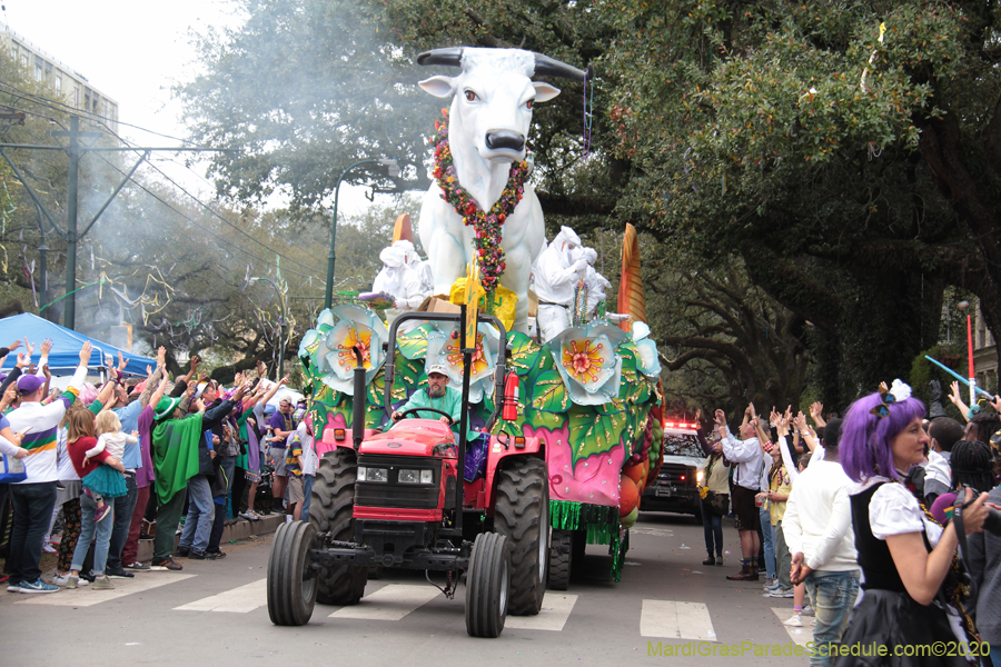 Rex-King-of-Carnival-2020-09941