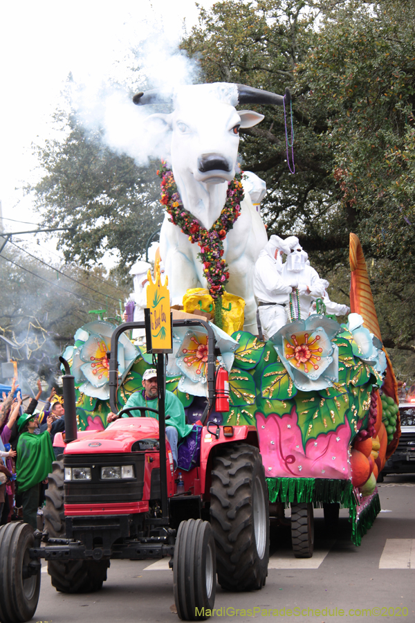 Rex-King-of-Carnival-2020-09942