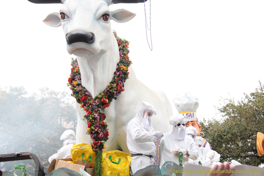 Rex-King-of-Carnival-2020-09943