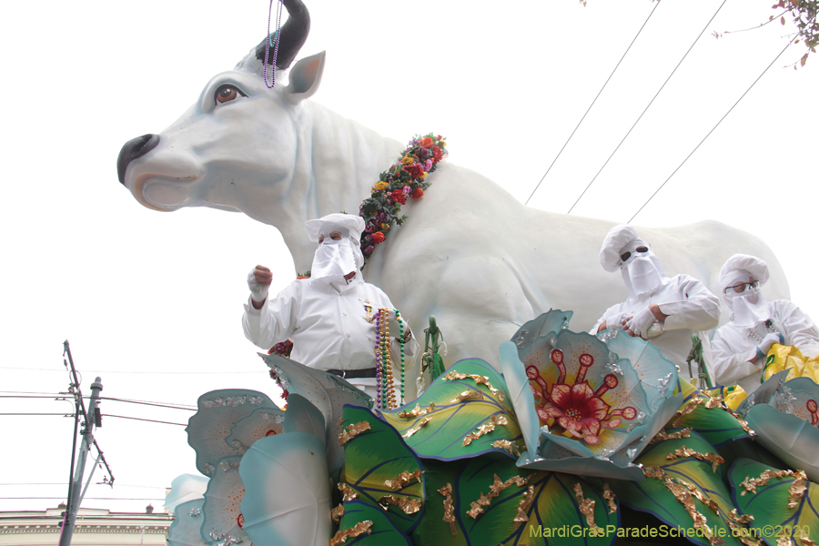 Rex-King-of-Carnival-2020-09944