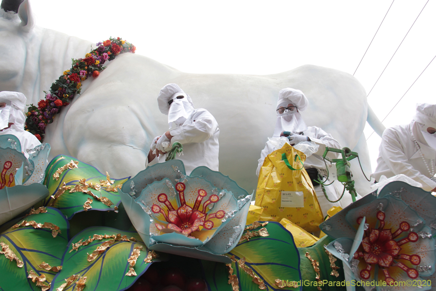 Rex-King-of-Carnival-2020-09945