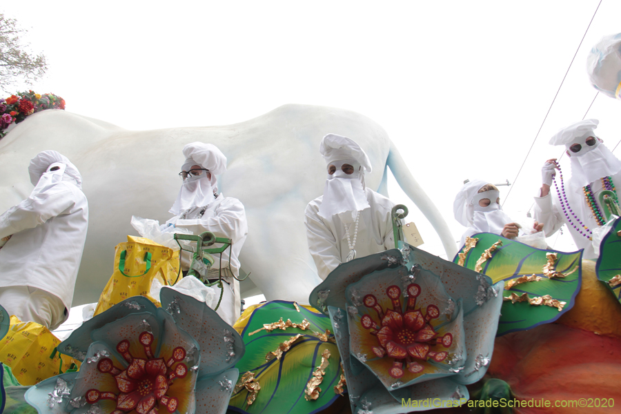 Rex-King-of-Carnival-2020-09946