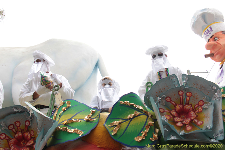 Rex-King-of-Carnival-2020-09947