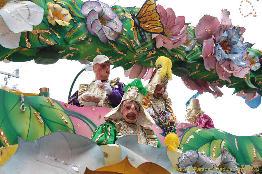 Rex-King-of-Carnival-2020-09955