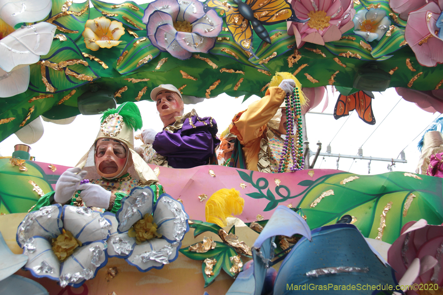 Rex-King-of-Carnival-2020-09956