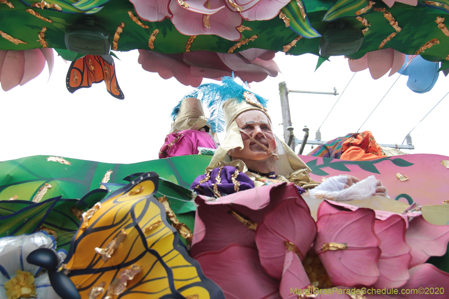 Rex-King-of-Carnival-2020-09957