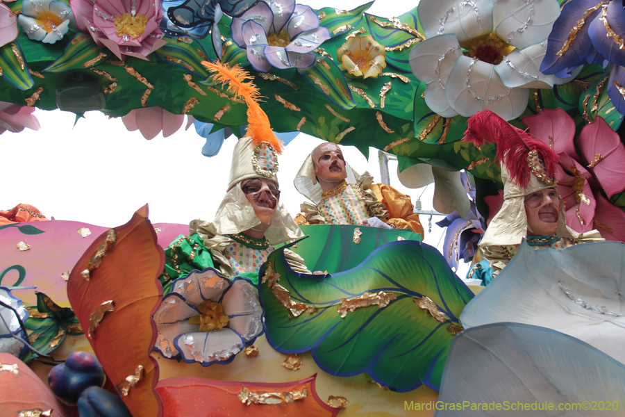 Rex-King-of-Carnival-2020-09958