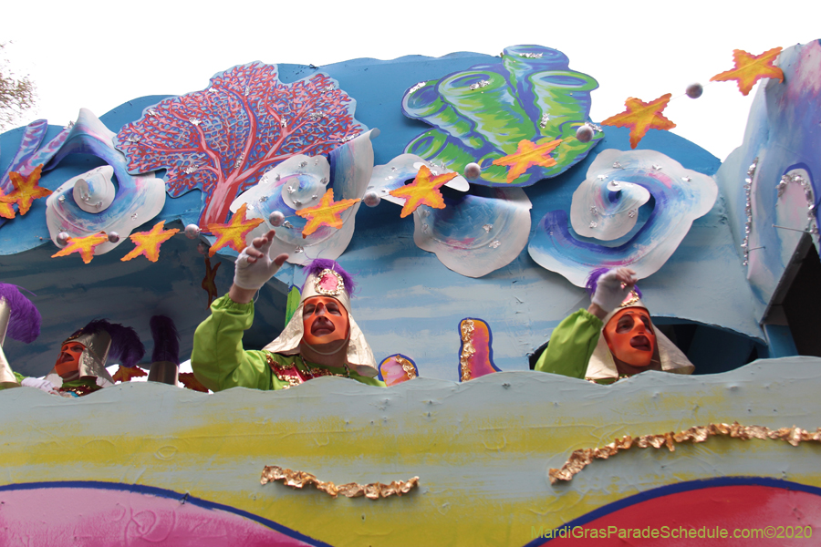 Rex-King-of-Carnival-2020-09992