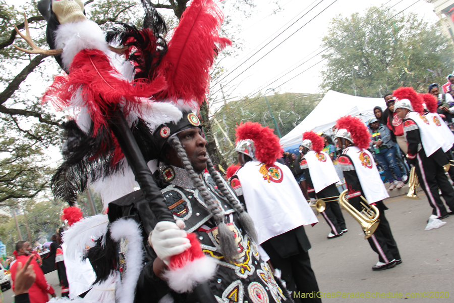 Rex-King-of-Carnival-2020-09997