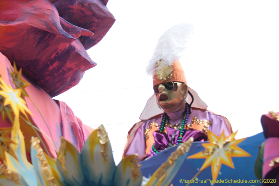 Rex-King-of-Carnival-2020-10002