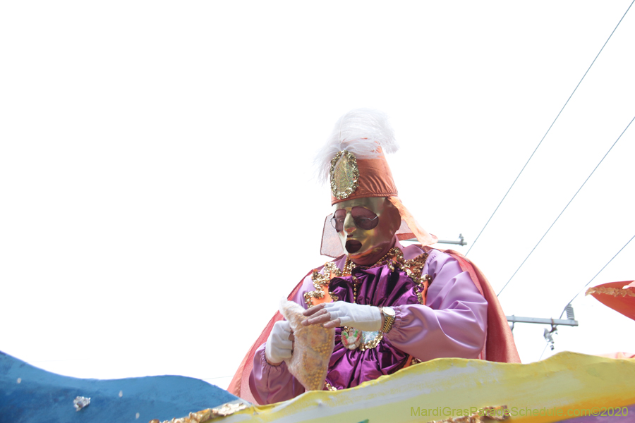 Rex-King-of-Carnival-2020-10003