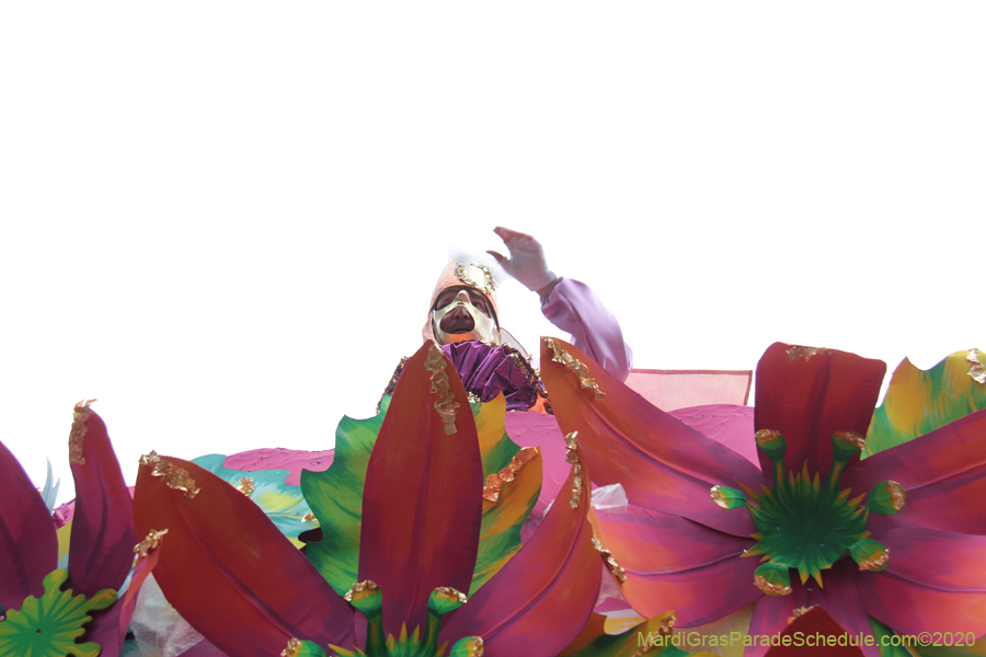 Rex-King-of-Carnival-2020-10005