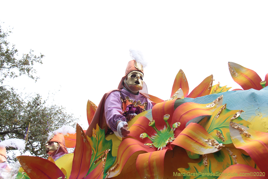 Rex-King-of-Carnival-2020-10006