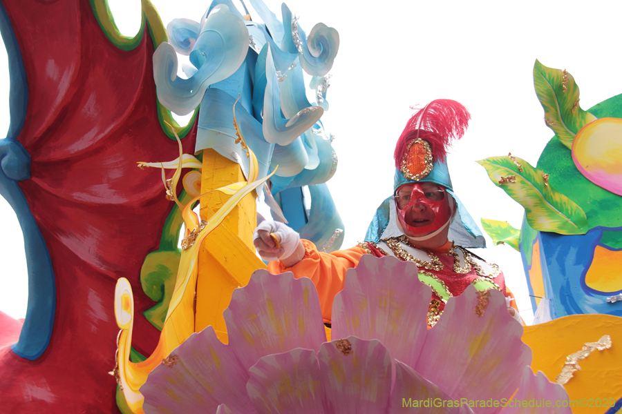 Rex-King-of-Carnival-2020-10016