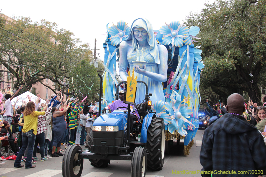 Rex-King-of-Carnival-2020-10032