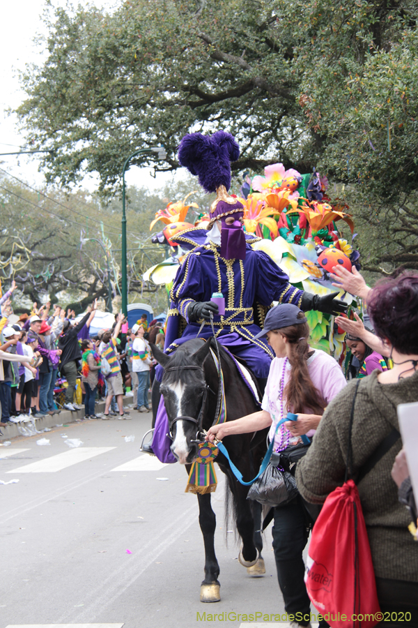 Rex-King-of-Carnival-2020-10046