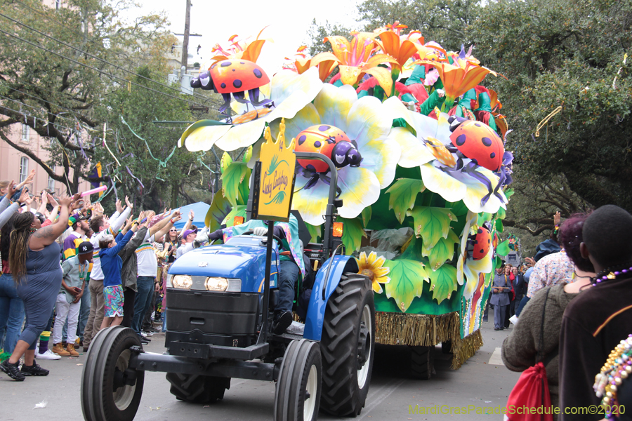 Rex-King-of-Carnival-2020-10047