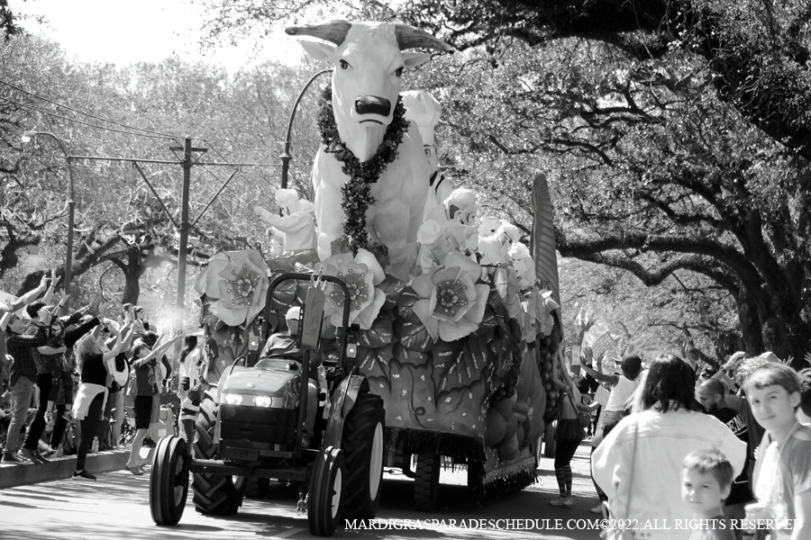 Rex-School-of-Design-00045-2022