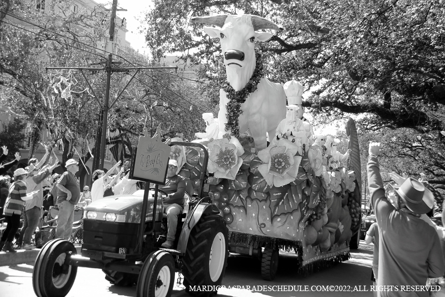 Rex-School-of-Design-00046-2022