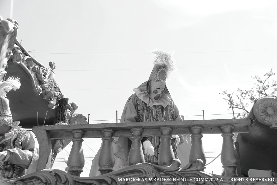 Rex-School-of-Design-00076-2022